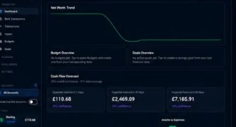 FinGem-AI net worth trend chart